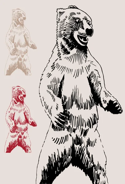 Αρκούδα σκίτσο — Διανυσματικό Αρχείο