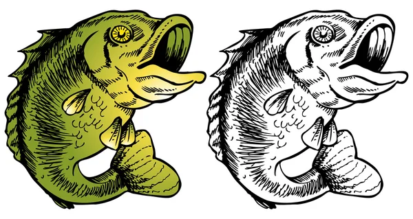 大嘴鲈鱼 — 图库矢量图片