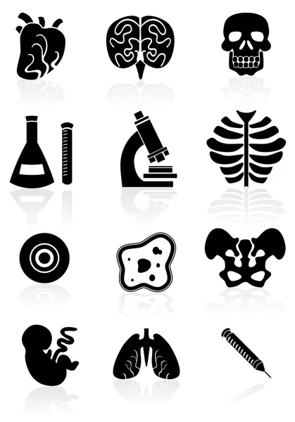 Set di icone di biologia - Nero — Vettoriale Stock