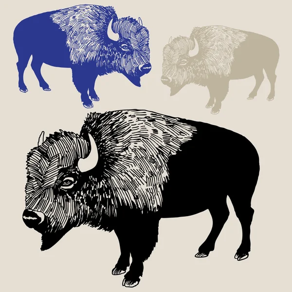 Nordamerikanische Bisons oder Büffel — Stockvektor