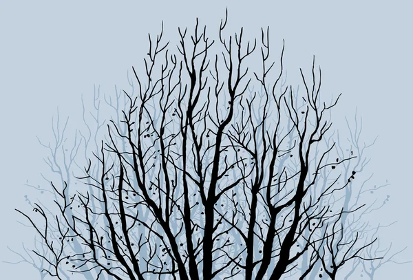 Holé větve stromů — Stockový vektor