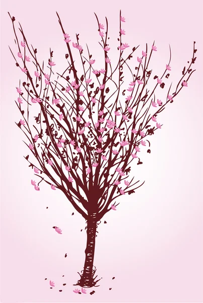 樱桃树 — 图库矢量图片