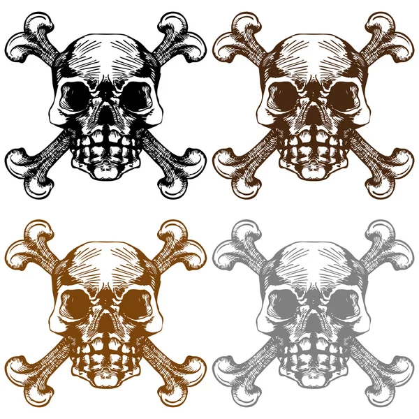 Skull and Cross Bones — Stock Vector