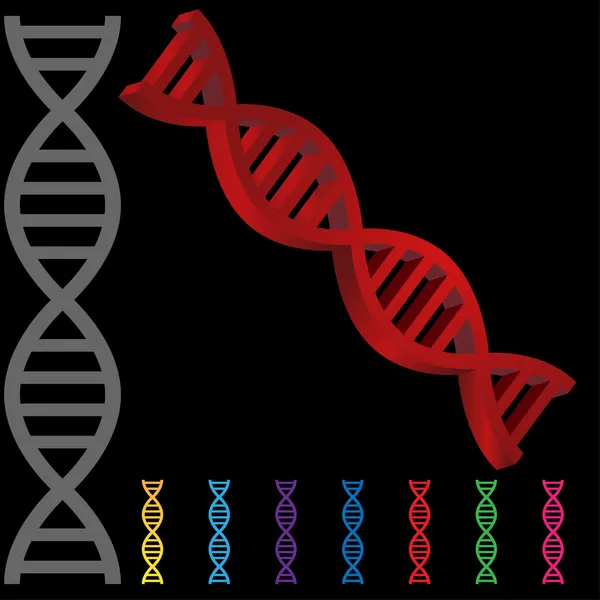 3D DNA — Stock Vector