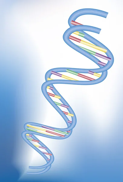 ДНК - 3d — стоковый вектор