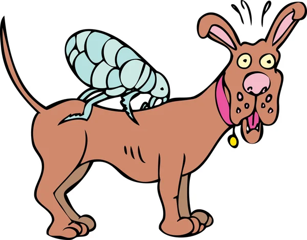 Cão com ícone de pulga — Vetor de Stock