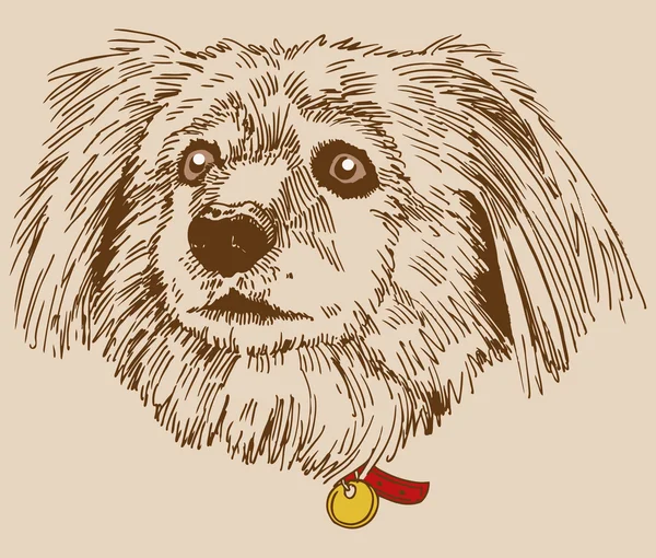 犬のアイコン — ストックベクタ