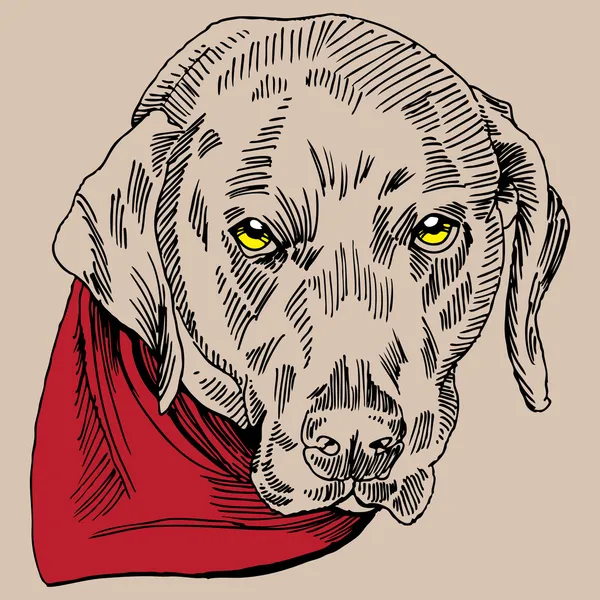 Portret psa — Wektor stockowy