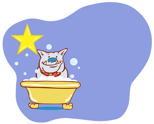 Dog Bath Star - Bulldog — Stock Vector
