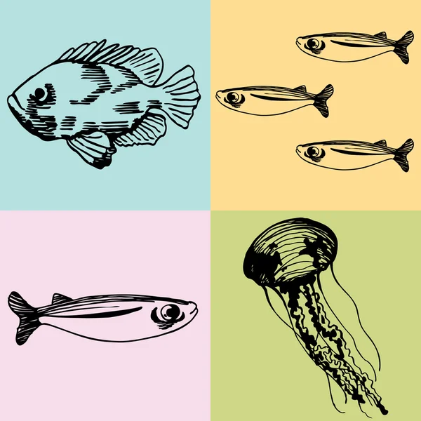 Artenvielfalt im Meer — Stockvektor