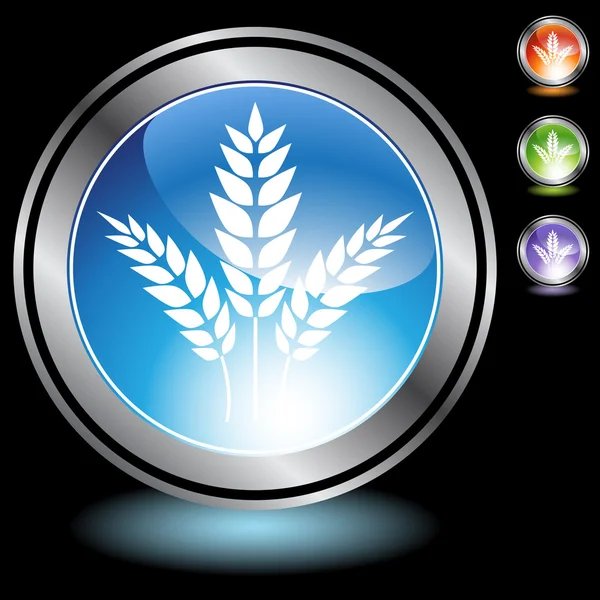 Icône de blé — Image vectorielle