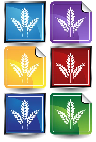 Pšenice ikona — Stockový vektor