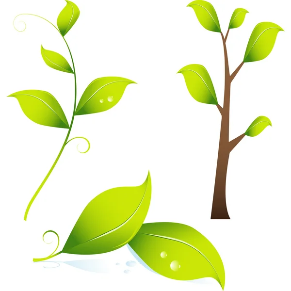 Immagine 3D di ramo / foglie — Vettoriale Stock
