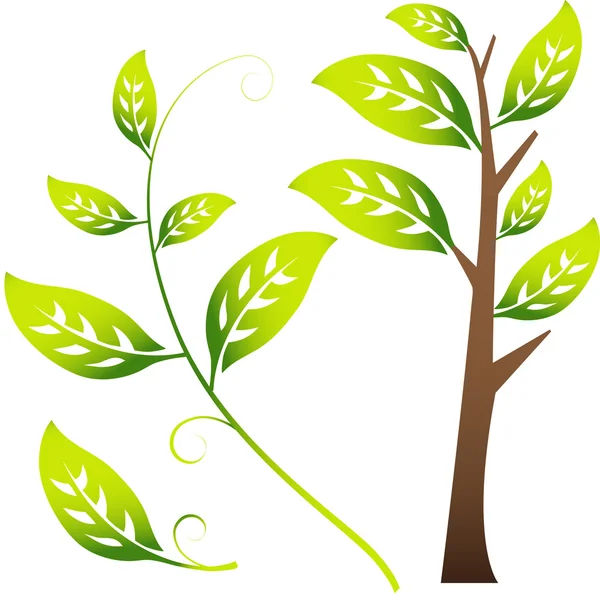 Image 3D de la branche / feuilles — Image vectorielle