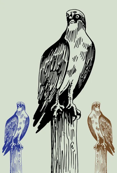 Handgezeichneter Vogel — Stockvektor