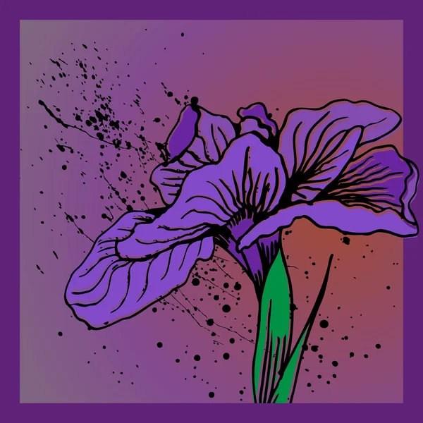 Iris fleur — Image vectorielle
