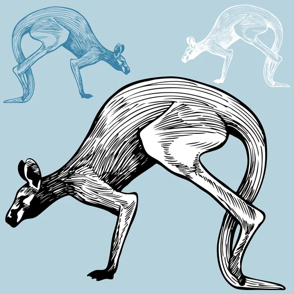 Zıplayan hayvanı — Stok Vektör