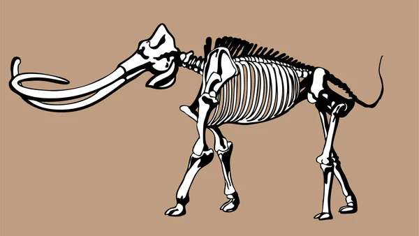 Os de mammouth — Image vectorielle