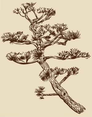 Tree Branch clipart