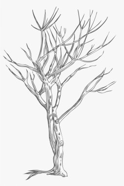 Twisted Trees clipart