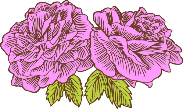 Ručně kreslená růže — Stockový vektor