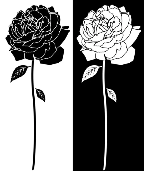 手绘玫瑰 — 图库矢量图片