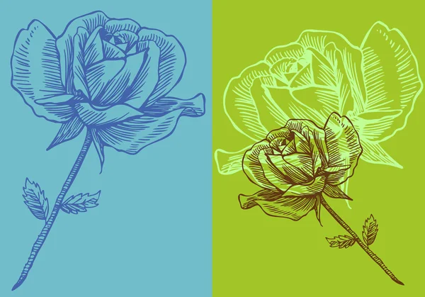 手绘玫瑰 — 图库矢量图片