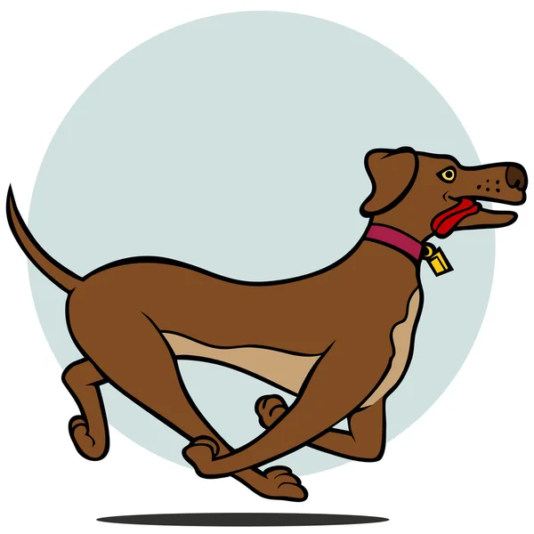 Hondenrennen — Stockvector