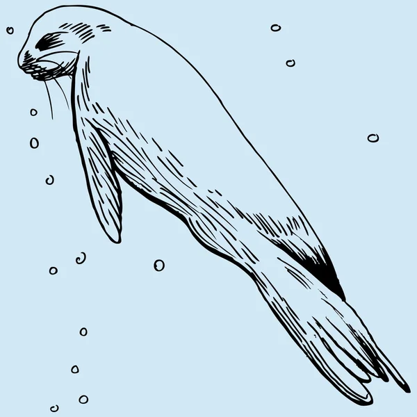 Seal — Stock Vector