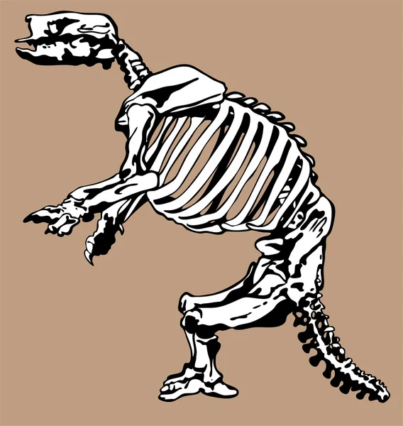 Fossili e ossa di dinosauro — Vettoriale Stock