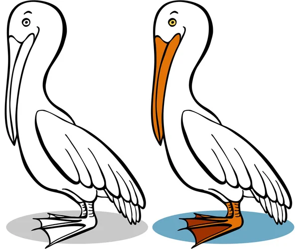Pelicano —  Vetores de Stock