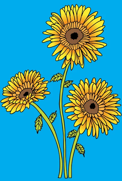 Sunflowers — Stock Vector