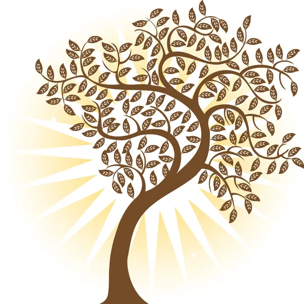 Brown Tree — Stock Vector