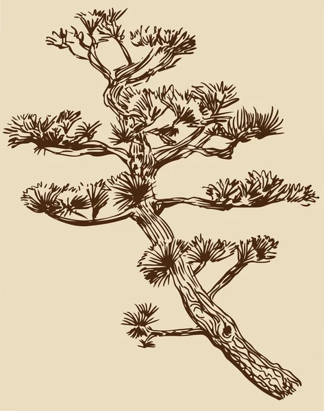 Tree Branch — Stock Vector