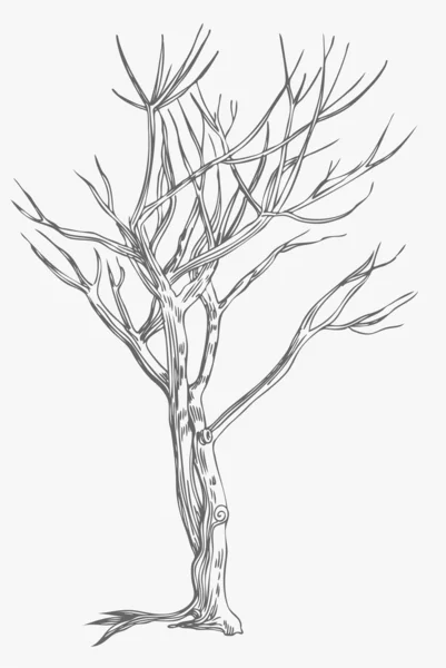 Кручений дерев — стоковий вектор