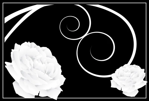 白色玫瑰背景 — 图库矢量图片