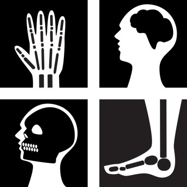 Xray clipart