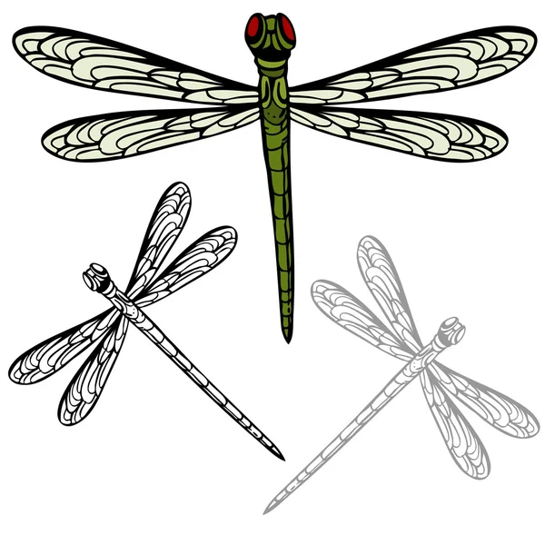Realistic Dragonfly — Stock Vector