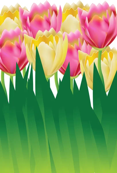 ピンクと黄色の花風景 — ストックベクタ