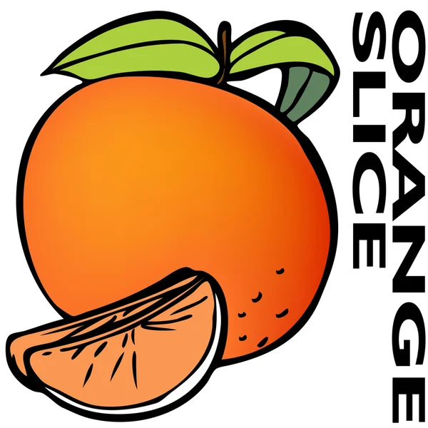 Fetta d'arancia — Vettoriale Stock