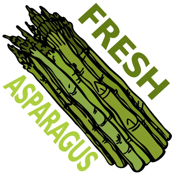 Fresh Asparagus — Stock Vector