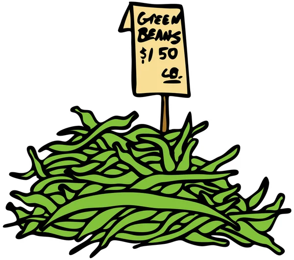 Green Beans — Stock Vector