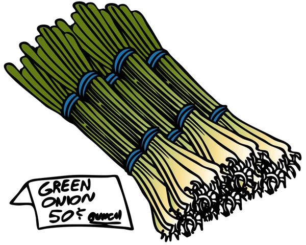 Нарезать зеленый лук — стоковый вектор