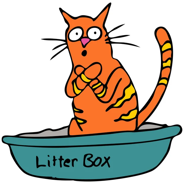 Litterbox gatinho —  Vetores de Stock