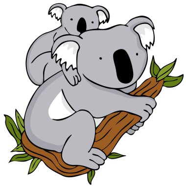 Koala Family clipart