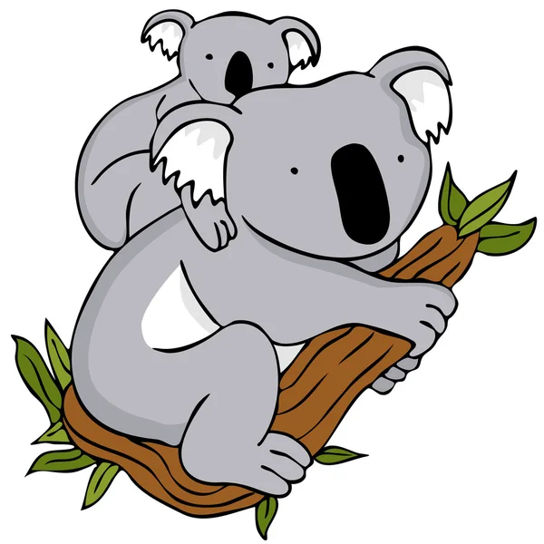 Koala család — Stock Vector