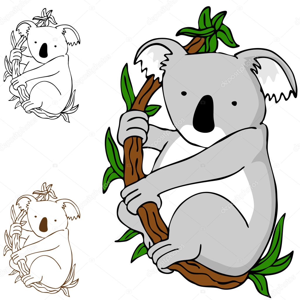 Koala on Branch
