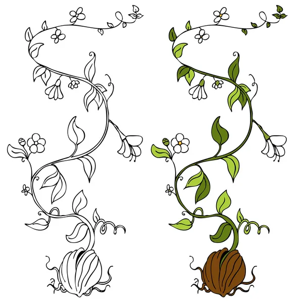 Tohumdan Büyüyen Bir Bitkinin Görüntüsü — Stok Vektör