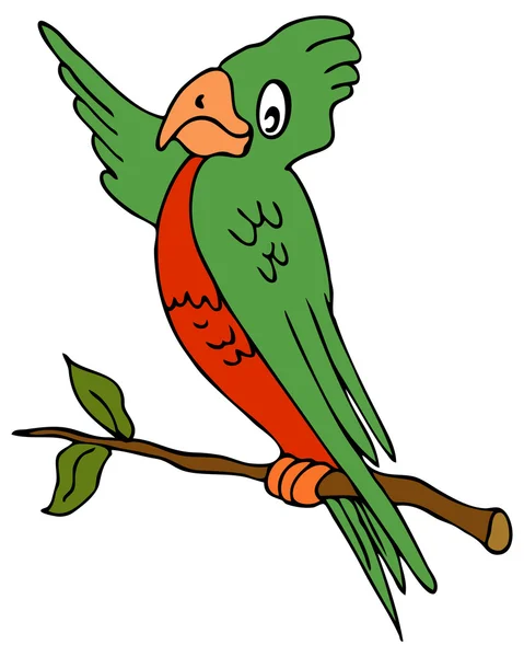 形象的指点的鹦鹉 — 图库矢量图片
