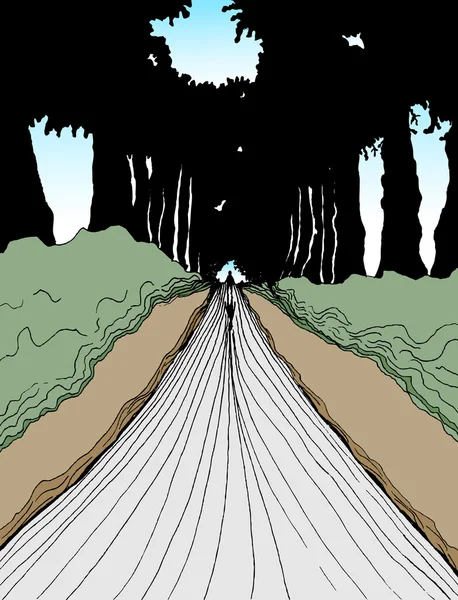 Wandelen in de bossen — Stockvector